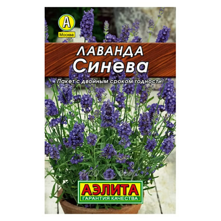 Семена Лаванда настоящая Английская Семена Лаванда настоящая Английская