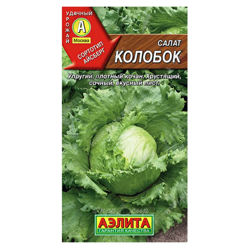 Салат Колобок кочанный (тип Айсберг) Салат Колобок кочанный (тип Айсберг)